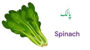 Vegetable Names In English And Urdu With Pictures Download Pdf Name Of Vegetables Fruit Names Vegetables