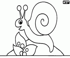 Um Caracol Sobre Uma Pedra Para Colorir E Imprimir
