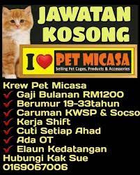 Kerja kosong cheras kuala lumpur. Jawatan Kosong Di Pet Micasa Pet Micasa Cheras Selatan Pet Micasa Shah Alam Kemasukkan Segera Utk Mereka Yg Sedang Mencari K Cat Food Cute Cats Cats