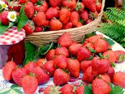 Après la plantation, couvrez le sol entre les plants à l'aide de paille de céréales sur une épaisseur de 7 cm minimum. Les Meilleures Varietes De Fraisiers