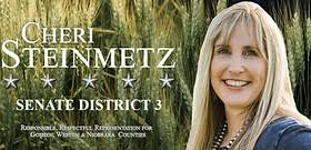 Copy of CANDIDATE INFORMATION (PAST)