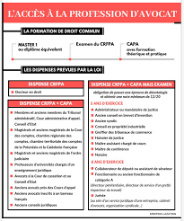 Comment devenir webmaster en autodidacte ? La Profession D Avocat Conditions D Acces Et Formation