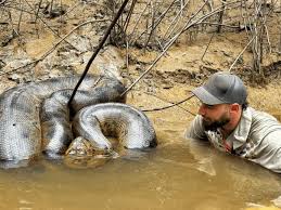 Leaked sex video at 21 upends my life