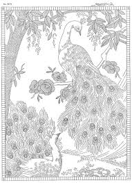 Wir verraten euch die schönsten bastelanleitungen im geolino bastelbuch 140 Pfauen Ideen Pfau Kunst Pfau Pfau Malen
