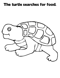 The turtle coloring for kids game tends to provide more than just fun and entertainment, it is interesting to play and keeps kids engaged for hours. Free Printable Turtle Coloring Pages For Kids