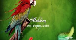 Mubsira Is A Muslim Arabic Baby Girl Name Its Meaning Is Well Informed Skilled Keen Intelligent Mubsi Parrot Wallpaper Abstract Digital Art Nature Birds