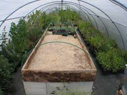 La Serre De Multiplication Senteurs Du Quercy