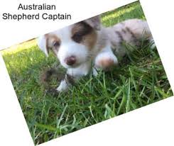 His registered name is little du… 16jno0oud Iv3m