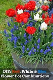 For a perfect flower pot in red, white and blue, start with your choice of pot (make sure it has drainage holes in the bottom). Diy Red White And Blue Flowerpot Combinations Motherhood Defined Blue Flowers Garden Flower Pots Container Flowers