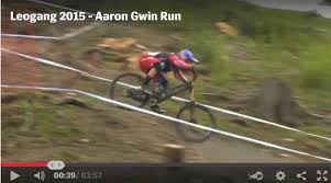 Aaron Gwin wins