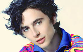 Οι υποψήφιες Καλύτερες Ταινίες σε pop-art πόστερ [photos]