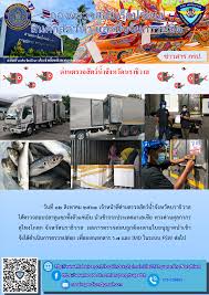 Näytä lisää sivusta ประชาสัมพันธ์จังหวัดน่าน facebookissa. Department Of Fisheries à¸à¸£à¸¡à¸›à¸£à¸°à¸¡à¸‡