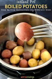 Instant Pot Boiled Potatoes Russet Gold Red Baby Spice Cravings
