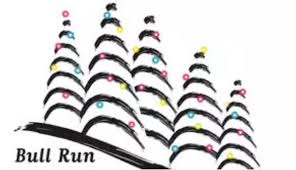 Bull Run Festival Of Lights Sweepstakes Win A Pass To Bull Run Festival Contestbig Festival Lights Bull Run Sweepstakes