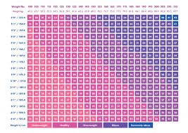 Healthy Bmi Chart Female Bmi For Men And Women Metric