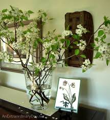 A plain sweater knit without decoration he's a genius at home decoration. Decorating With Flowering Pear Branches Plus Easy Inexpensive Art An Extraordinary Day