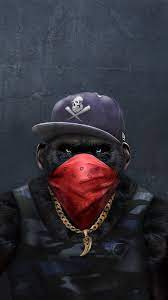 Red Bandana Gang Picture Gang Pictures Monkey Art Gorillas Art