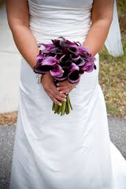 Maybe you would like to learn more about one of these? Dark Purple Calla Lilys Calla Lillys Are My Favorite Flower Calla Hochzeit Lila