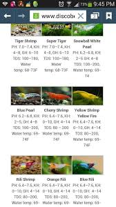 Gambas Parametros Cherry Shrimp Shrimp Tank Fish Chart