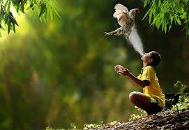 Everyday Life In Indonesian Villages Captured By Herman Damar Indonesia Photography Village Life Village Photography