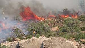 Image result for tbn:XVFRz-6Maj2JLM::www.jolmag.co.za/wildfire/images/Logos/vuvuzela_header.jpg