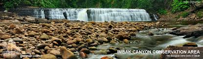 It will take about 7 hours drive including 2 there an imbak canyon science centre for scientists to do research and also hostels for those who wish to rent for their adventure trip in imbak canyon. Imbak Canyon Conservation Area Sabah Borneo