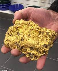 Some of the dumbest people on the internet who cannot form a coherent sentence. Massive 2kg Gold Nugget Worth Hundreds Of Thousands Of Dollars Is Discovered By A Lucky Digger Daily Mail Online