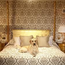 Searching for pet shops & pet requisites has never been so simple on the yellow pages website. Luxury Pet Friendly Accommodation Around The World Architectural Digest
