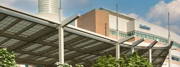 Technology Expense Management Audits