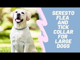 Click tap to copy and the discount code will be. Seresto Flea Collar Coupon 07 2021