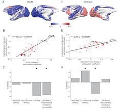 If so, then our sink spotlight series will help you. Macro Connectomics And Microstructure Predict Dynamic Plasticity Patterns In The Non Human Primate Brain Elife