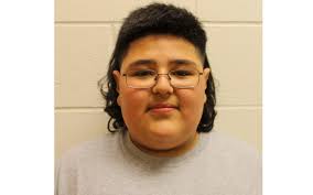 Aux Sable Middle School 6th grader saves friend who was choking