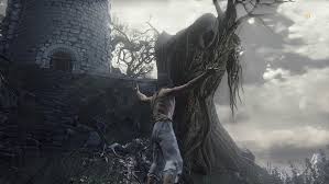 Sold by shrine handmaid for 1000 souls. 20 Best Consumables In Dark Souls 3 Ranked Undergrowth Games