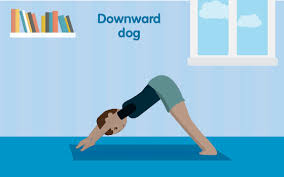 Age and gender also play a role, as men and older people tend to be less flexible than young people and women. As And Asana And Other Yoga Poses