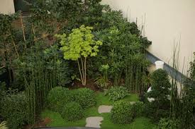 La culture des jardins ombragés exige de connaître quelques trucs si vous voulez réussir vos plantations. Jardins D Ombre Contemporain Jardin Paris Par Canopees