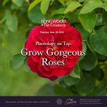 Plantology on Tap: Grow Gorgeous Roses