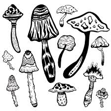 Black And White Mushroom 2d Black And White Mushroom Illustration Black And White Illustration Sharpie Art Black And White Drawing