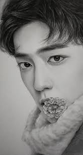 Beautiful Face By : Ibrahim Mo Taha Egyptian Pencil Drawing