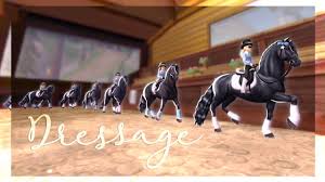Cas confirmés, mortalité, guérisons, toutes les statistiques Sso Dressage Endless Storm Sea Sisters Youtube