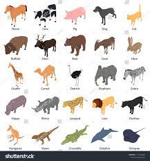 Wild Animals With Signed Name Icons Set Isometric Illustration Of 25 Wild Animals With Signed Name Vector Icons Fo Isometric Illustration Animals Wild Animals