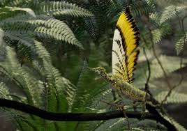 Tifany wallemacq mym leaks ive had Kimmy in my sights for