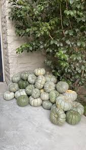 P U M P K I N S Chic Halloween Decor Halloween Decorations Fall Decor