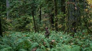 It's peaceful, loving, entertaining, and. Day For Night For Day For Night Dp Christopher Blauvelt On First Cow Filmmaker Magazine
