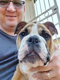 Aggressive 18-week-old daisy in Pretoria North area