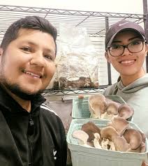 Curtis Wray Business Broker