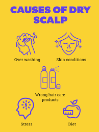 There are 81 conditions associated with brittle hair, dry skin, fatigue and hair loss. How To Get Rid Of Dry Scalp Causes And Treatments By Expert Be Beautiful India