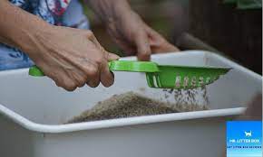 Cat Diarrhea Outside Litter Box Resolved In Just 7 Solutions