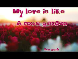My Love Is Like A Rose Garden Love Poem Poetry Video Youtube Love Poems Poems Poetry