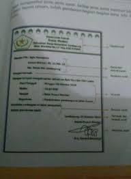 Pemerintah kabupaten paser sekretariat daerah sekretariat: Buatlah Contoh Kalimat Surat Dinas Brainly Co Id