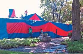6587 66 avenuen pinellas park fl 33781 usa. How Fumigation Solved A Spider Problem